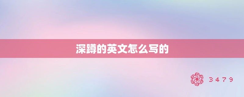 深蹲的英文怎么写的