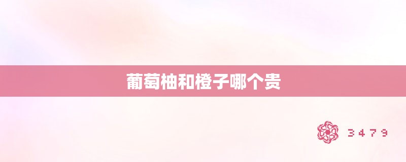 葡萄柚和橙子哪个贵