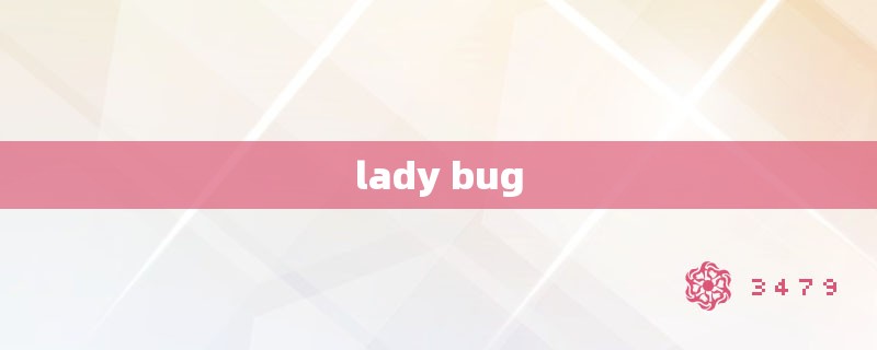 lady bug