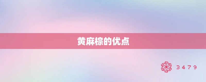 黄麻棕的优点